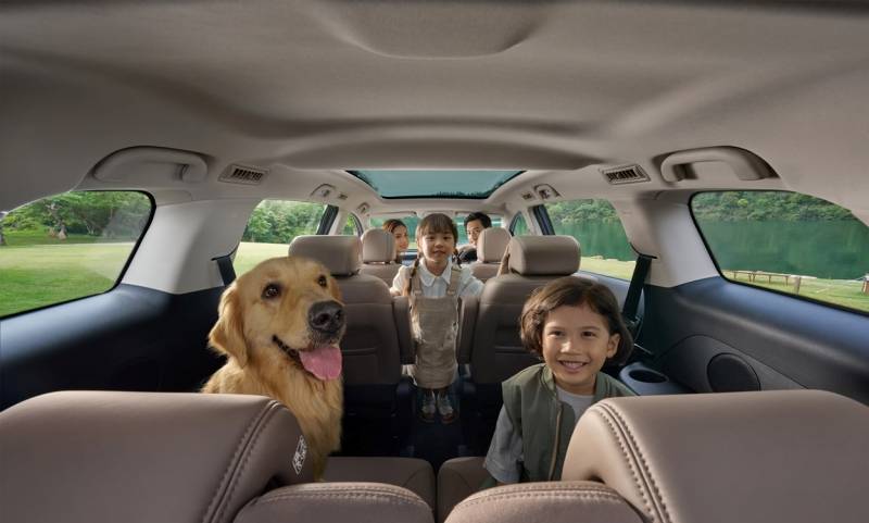 BYD M6 สัตว์เลี้ยง